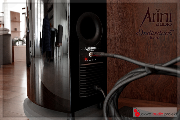 Kable Individual do głośników szerokopasmowych Audium Comp Passive