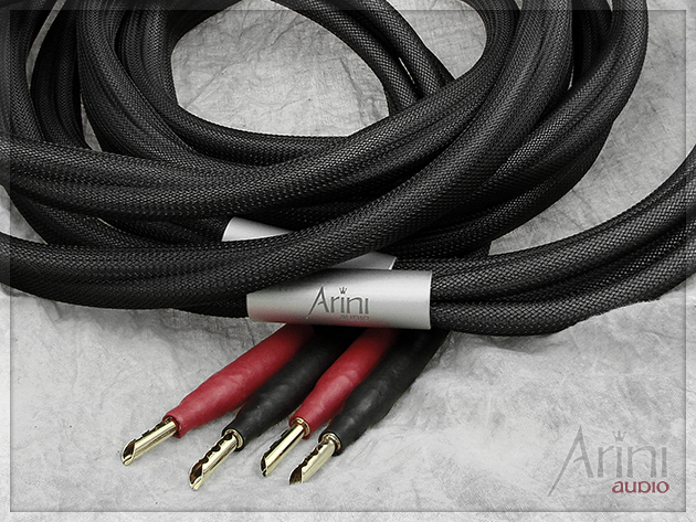 Kabel głośnikowy ze srebra SilverStarr