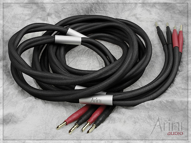 Kabel głośnikowy ze srebra SilverStarr