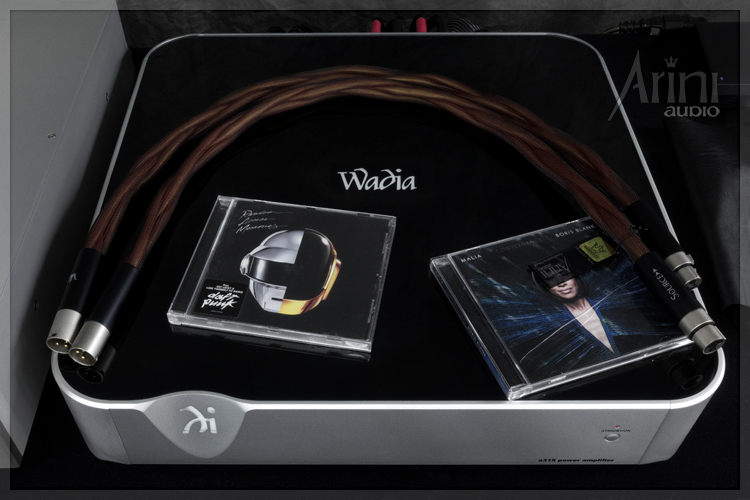 Wadia a315 :: Panel Tylny