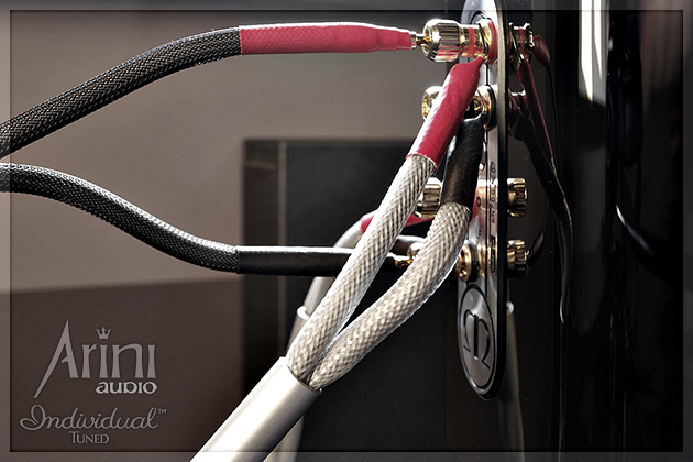 Sala kinowa z Monitor Audio, adaptacją akustyczną i okablowaniem Individual