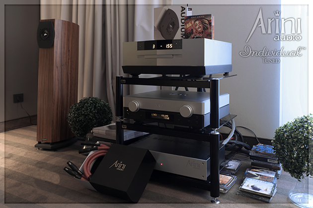 System hi end z elektroniką TAD i okablowaniem Individual