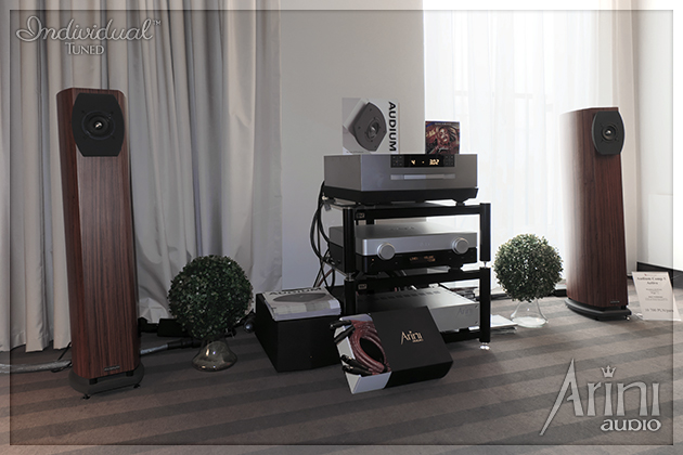 System hi end z elektroniką TAD i okablowaniem Individual