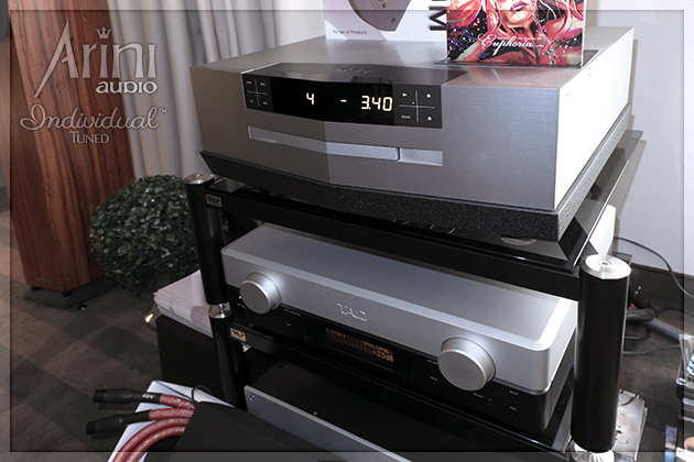 System hi end z elektroniką TAD i okablowaniem Individual